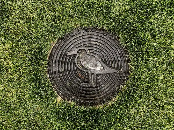 Drain field access cover for septic repair in Torrance